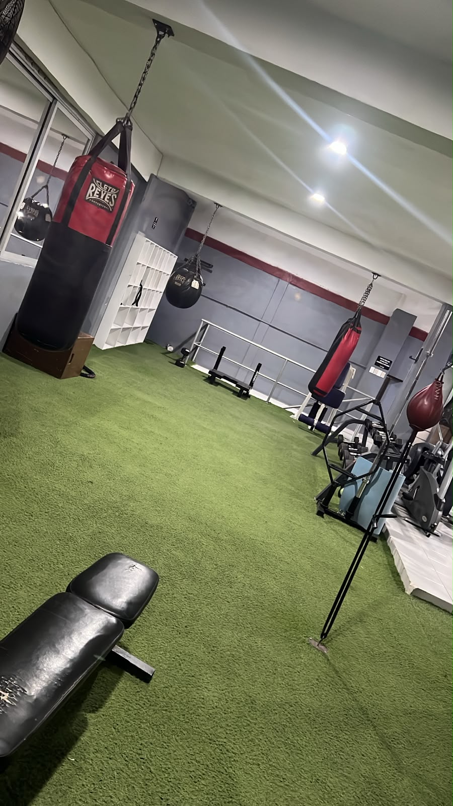 Área de box de Mochis Gym Training